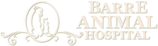 <span>Barre Animal Hospital</span>
logo