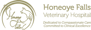 <span>Honeoye Falls Veterinary Hospital</span>
logo