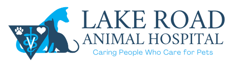 <span>Lake Road Animal Hospital</span>
logo