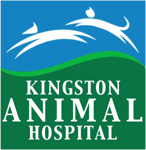 <span>Kingston Animal Hospital PC</span>
logo