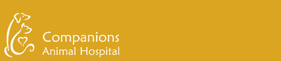 <span>Companions Animal Hospital</span>
 logo