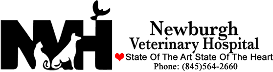 <span>Newburgh Veterinary Hospital</span>
 logo
