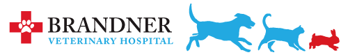 <span>Brandner Veterinary Hospital</span>
logo