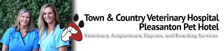 <span>Town & Country Veterinary Hospital</span>
logo