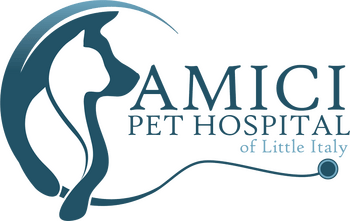 <span>San Diego Veterinarian Amici Pet Hospital</span>
logo