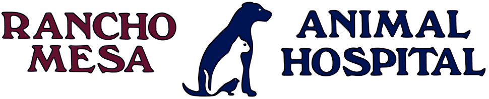 <span>Rancho Mesa Animal Hospital</span>
logo