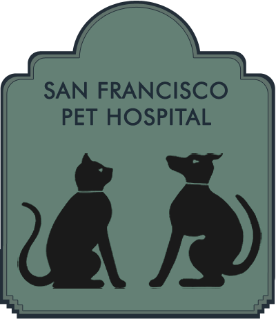 <span>San Francisco Pet Hospital</span>
logo