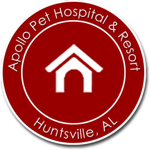 <span>Apollo Animal Hospital PC</span>
 logo