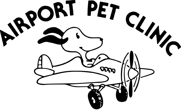 <span>Airport Pet Clinic</span>
logo