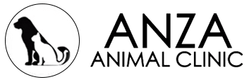 <span>Anza Animal Clinic</span>
logo