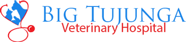 <span>Big Tujunga Vet Hospital</span>
logo