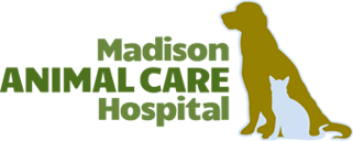 <span>Madison Animal Care Hospital</span>
logo