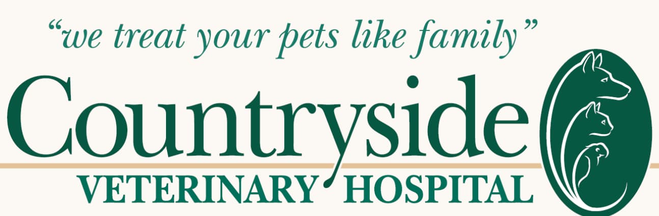 <span>Countryside Veterinary Hospital</span>
logo
