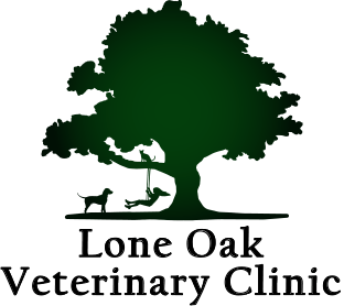 <span>Lone Oak Veterinary Clinic Inc</span>
logo