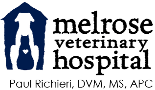 <span>Melrose Veterinary Hospital</span>
logo