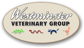 <span>Westminster Veterinary Group</span>
logo