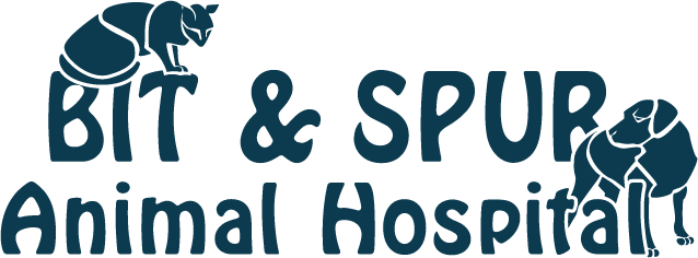 <span>Bit & Spur Animal Hospital LLC</span>
logo