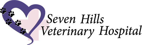 

<!-- THEME DEBUG -->
<!-- THEME HOOK: 'field' -->
<!-- FILE NAME SUGGESTIONS:
   * field--node--title--listing.html.twig
   x field--node--title.html.twig
   * field--node--listing.html.twig
   * field--title.html.twig
   * field--string.html.twig
   * field.html.twig
-->
<!-- BEGIN OUTPUT from 'core/themes/stable/templates/field/field--node--title.html.twig' -->
<span>Seven Hills Veterinary Hospital</span>

<!-- END OUTPUT from 'core/themes/stable/templates/field/field--node--title.html.twig' -->

 logo