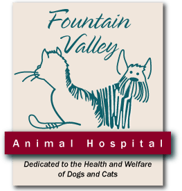 <span>Fountain Valley Animal Hospital</span>
logo