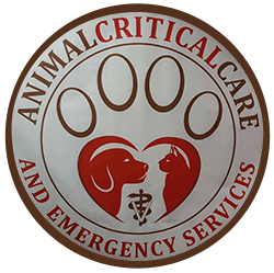 <span>Animal Critical Care</span>
logo
