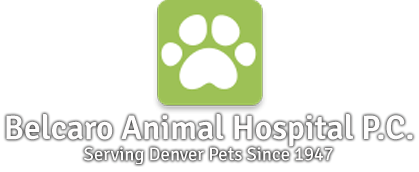 <span>Belcaro Animal Hospital</span>
 logo