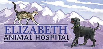 <span>Elizabeth Animal Hospital</span>
logo
