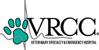 <span>Robyn Elmslie</span>
logo
