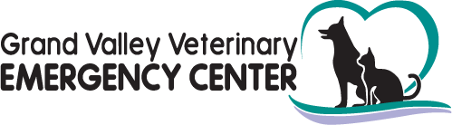 <span>Grand Valley Veterinary Emergency Center</span>
logo