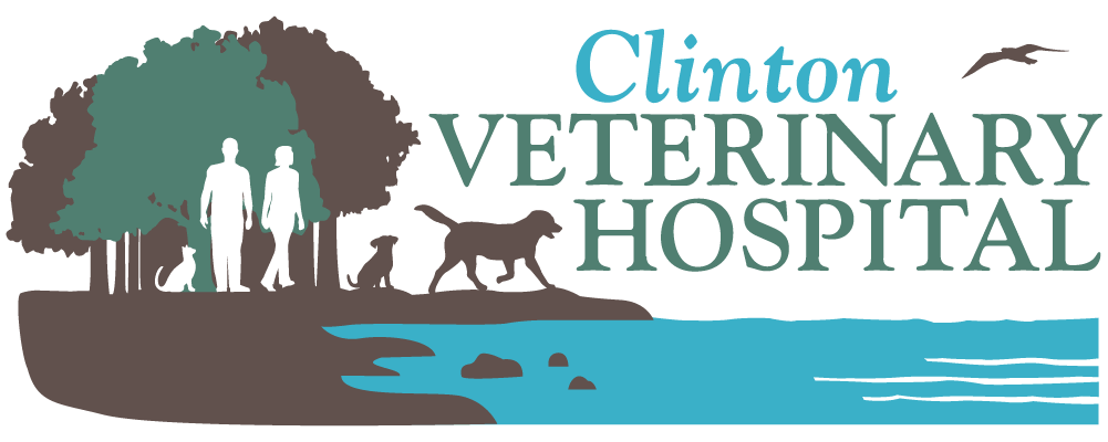 <span>Clinton Veterinary Hospital LLC</span>
logo