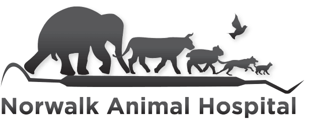 <span>Norwalk Animal Hospital & Dental Clinic</span>
logo