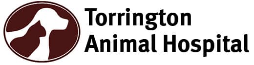 <span>Torrington Animal Hospital LLC</span>
logo