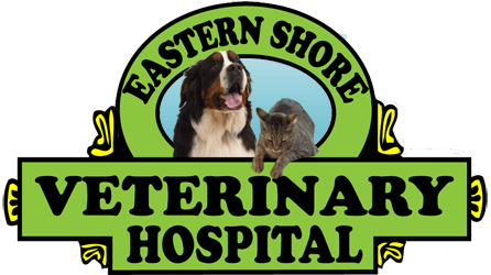 <span>Eastern Shore Veterinary Hospital</span>
logo