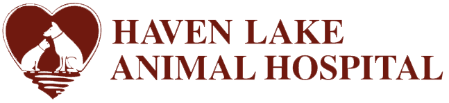 <span>Haven Lake Animal Hospital</span>
logo