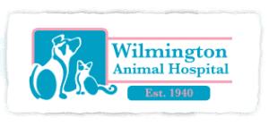 <span>Wilmington Animal Hospital</span>
 logo