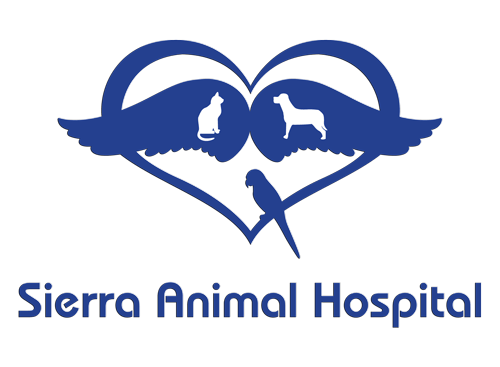 <span>Sierra Animal Hospital</span>
logo