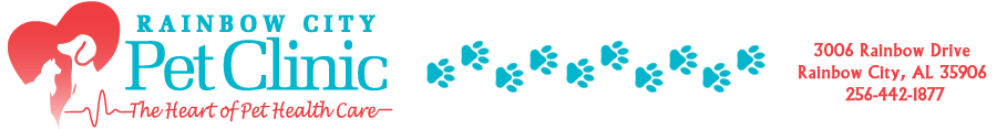 <span>Rainbow City Pet Clinic</span>
logo
