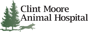 <span>Clint Moore Animal Hospital</span>
logo