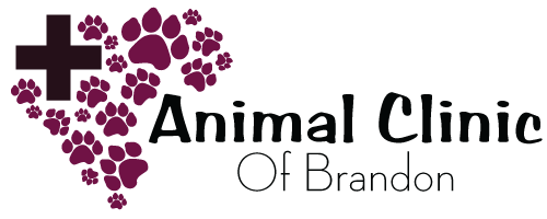 <span>Animal Clinic of Brandon</span>
logo
