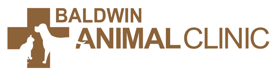 <span>Baldwin Animal Clinic</span>
logo