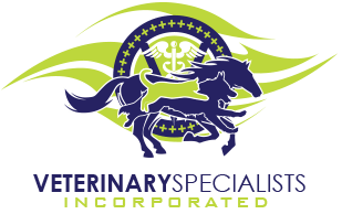 <span>Veterinary Specialists Inc</span>
logo