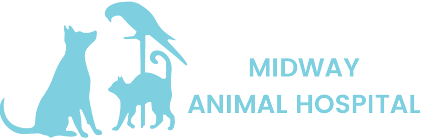 <span>Midway Animal Hospital</span>
logo