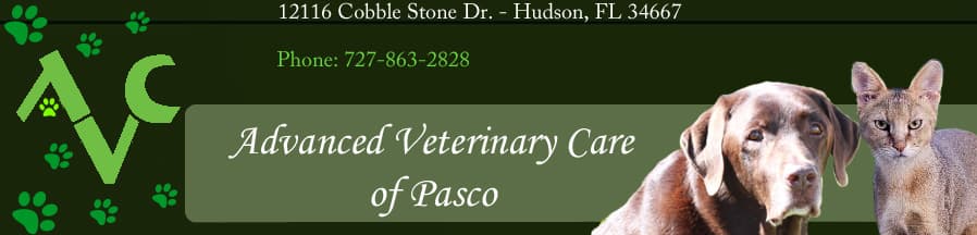 <span>Advanced Veterinary Care of Pasco</span>
logo
