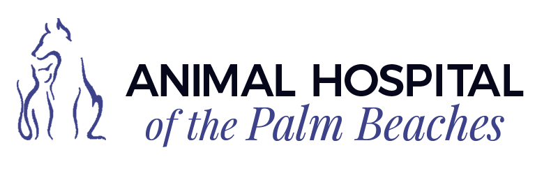 <span>Animal Hospital of The Palm</span>
logo