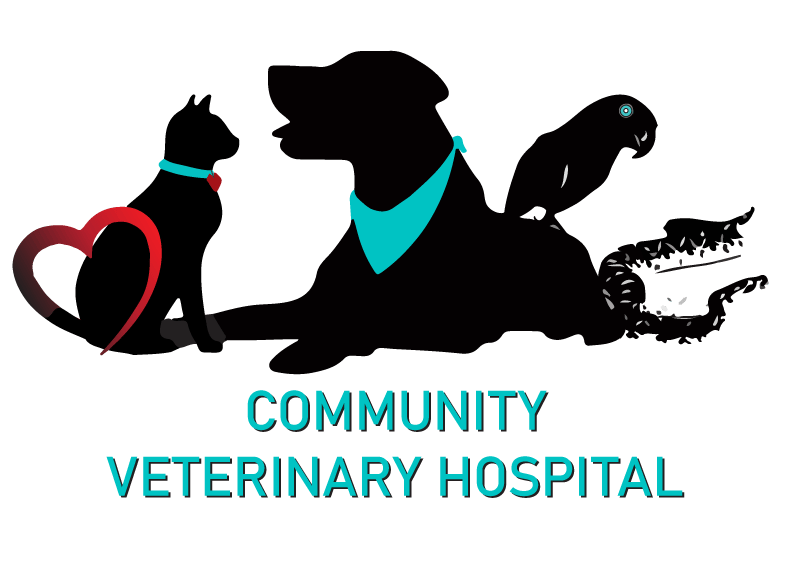 <span>Community Veterinary Hospital </span>
logo