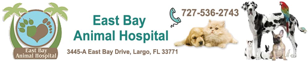 <span>East Bay Animal Hospital</span>
logo