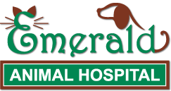<span>Animal Hospital-The Emerald</span>
logo