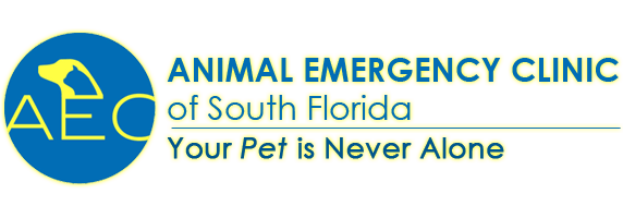 <span>Animal Emergency Clinic of South Florida</span>
logo