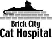 <span>Brick City Cat Hospital</span>
logo