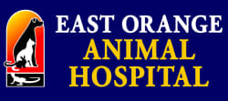 <span>East Orange Animal Hospial</span>
logo
