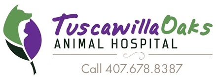 <span>Tuscawilla Oaks Animal Hospital</span>
logo